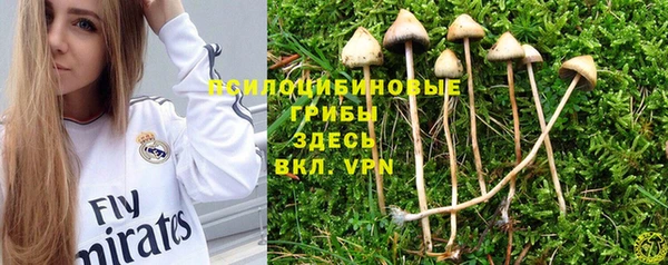 амф Алексеевка